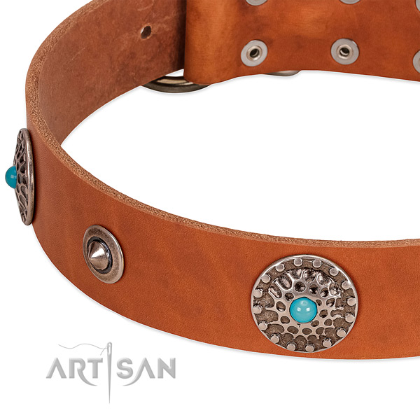 Soft full grain leather dog collar with corrosion resistant hardware