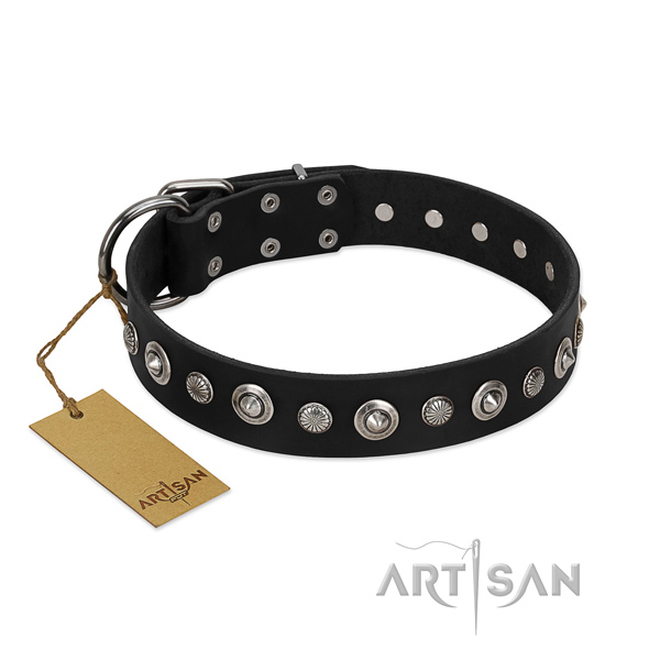 Top notch full grain natural leather dog collar with top notch adornments