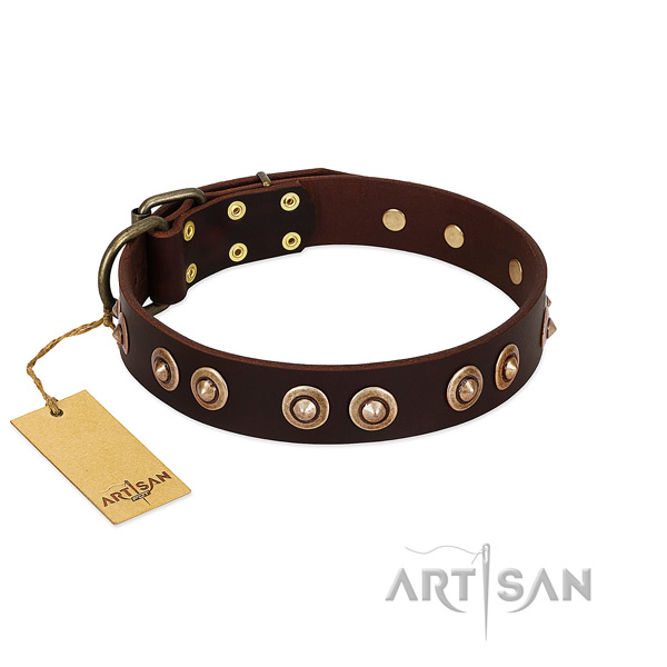Strong studs on leather dog collar for your pet