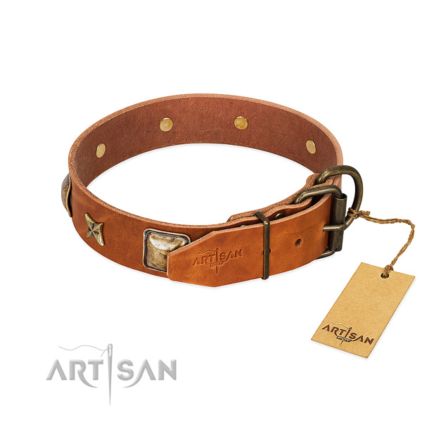 Full grain natural leather dog collar with corrosion proof fittings and studs