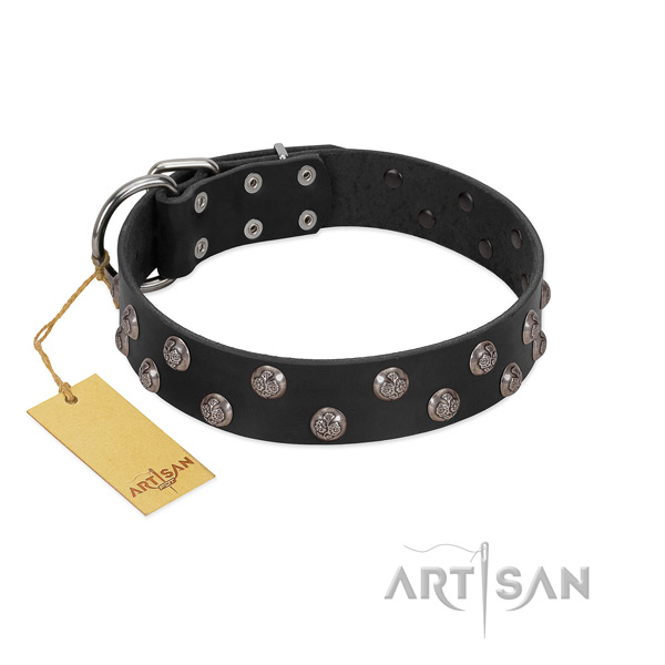 Durable genuine leather dog collar with studs