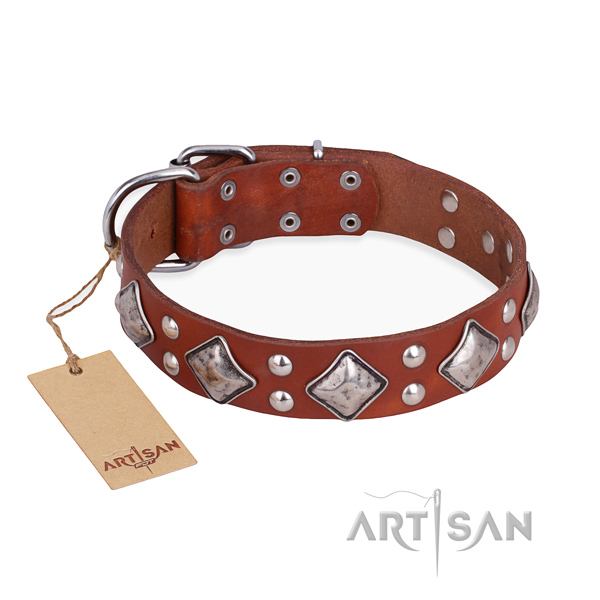 Daily use incredible dog collar with rust-proof fittings