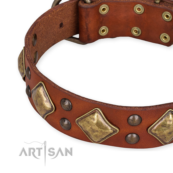 Full grain natural leather collar with corrosion resistant D-ring for your attractive doggie
