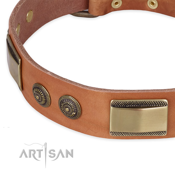 Top notch full grain leather collar for your handsome canine