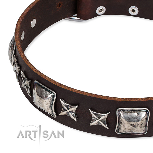 Daily use embellished dog collar of fine quality full grain natural leather