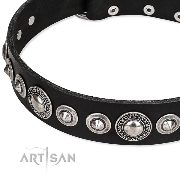 Comfy wearing embellished dog collar of strong full grain genuine leather