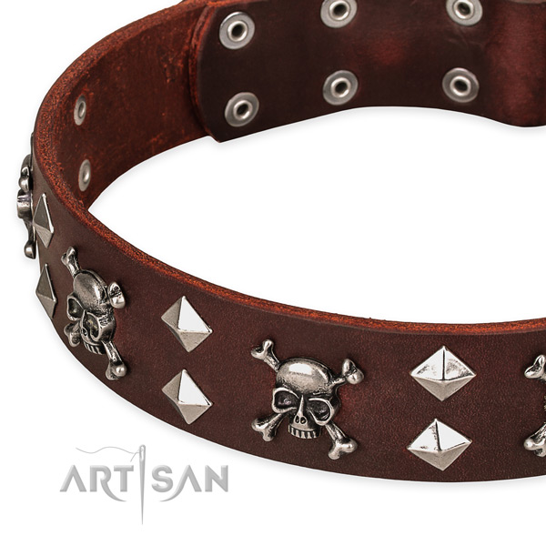 Daily walking adorned dog collar of quality full grain natural leather