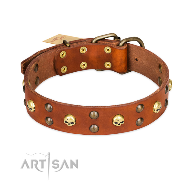 Comfy wearing dog collar of best quality full grain genuine leather with studs