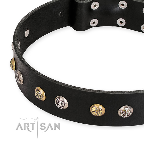 Full grain leather dog collar with designer rust resistant adornments
