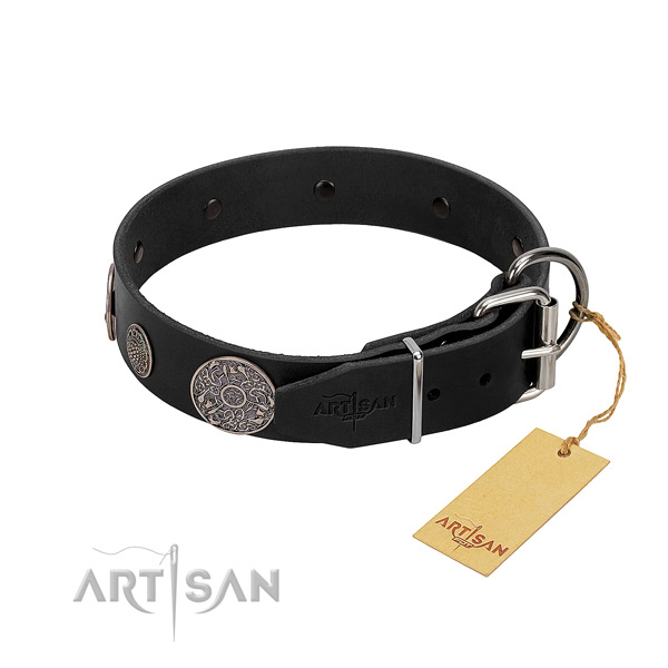 Corrosion resistant hardware on full grain leather dog collar