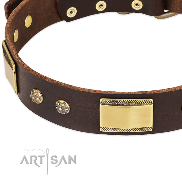 Corrosion proof embellishments on genuine leather dog collar for your pet