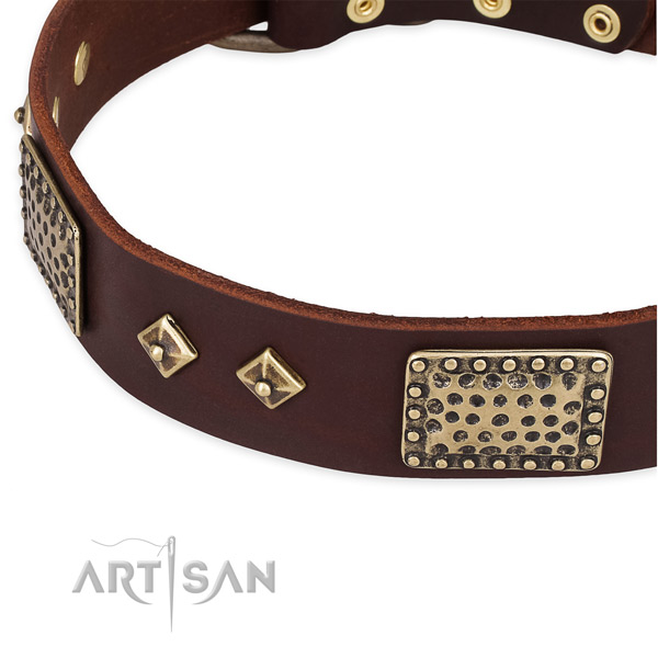 Rust resistant buckle on leather dog collar for your canine