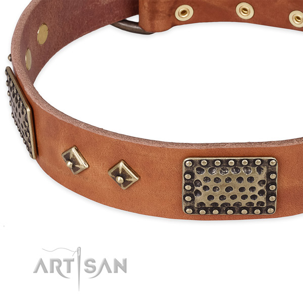 Rust-proof studs on leather dog collar for your four-legged friend