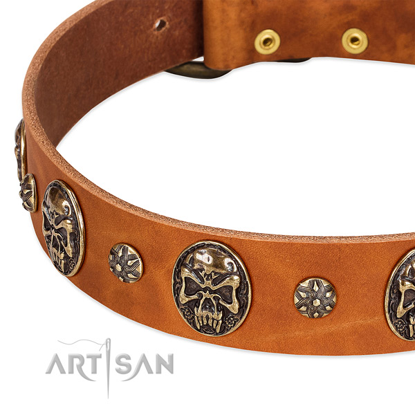 Reliable hardware on genuine leather dog collar for your canine