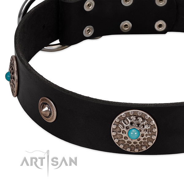 Studded collar of leather for your beautiful dog