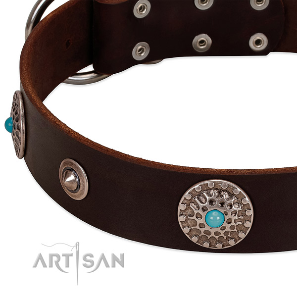 Stunning collar of full grain leather for your handsome doggie