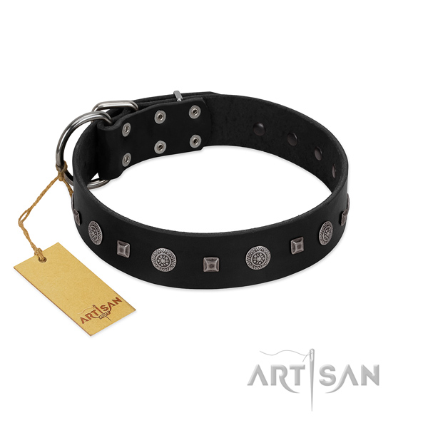 Everyday walking flexible genuine leather dog collar with studs