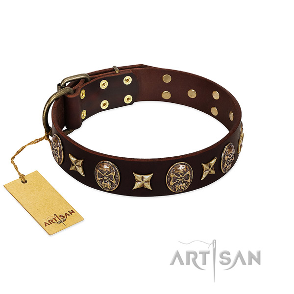 Studded full grain leather collar for your doggie