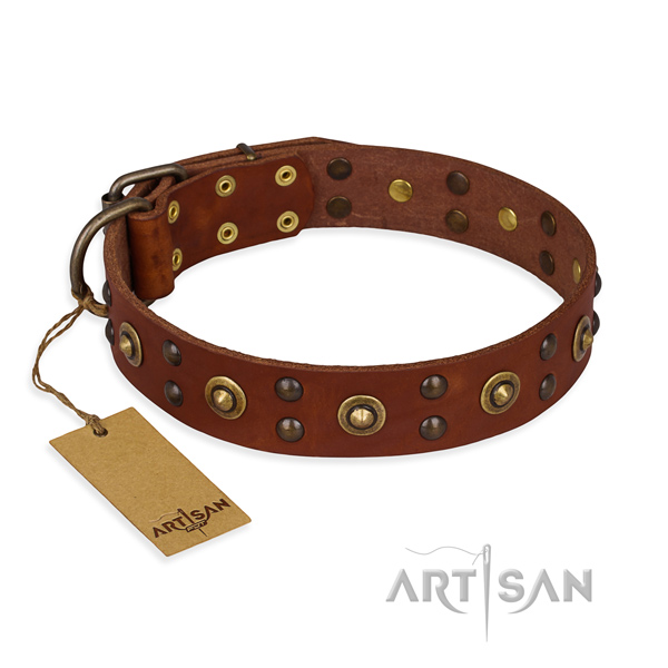 Unique full grain leather dog collar with rust-proof D-ring