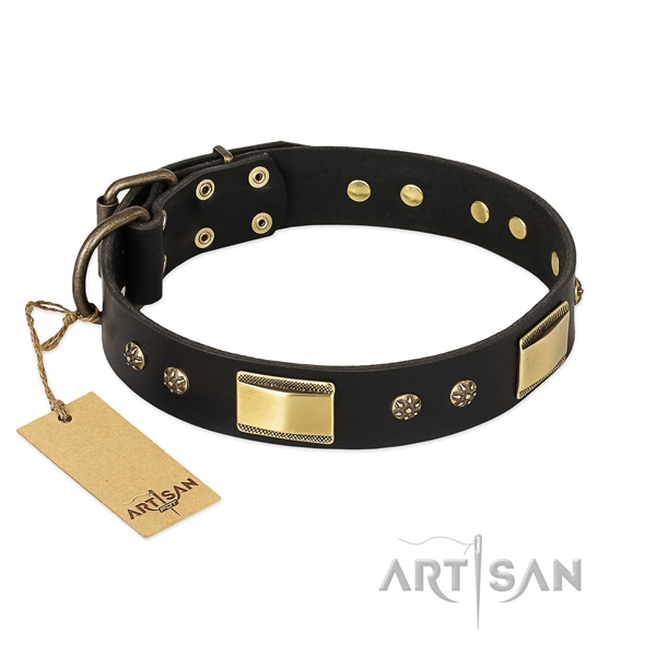 Inimitable full grain genuine leather dog collar for stylish walking