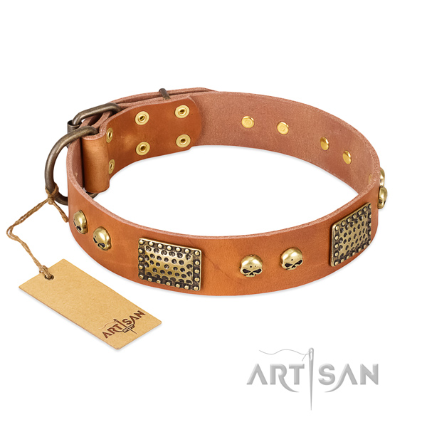 Easy to adjust genuine leather dog collar for daily walking your canine