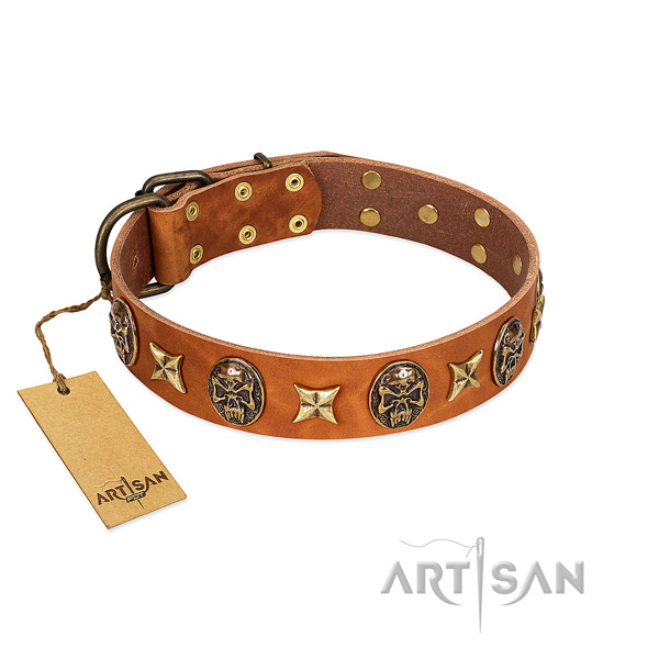 Unique genuine leather collar for your doggie