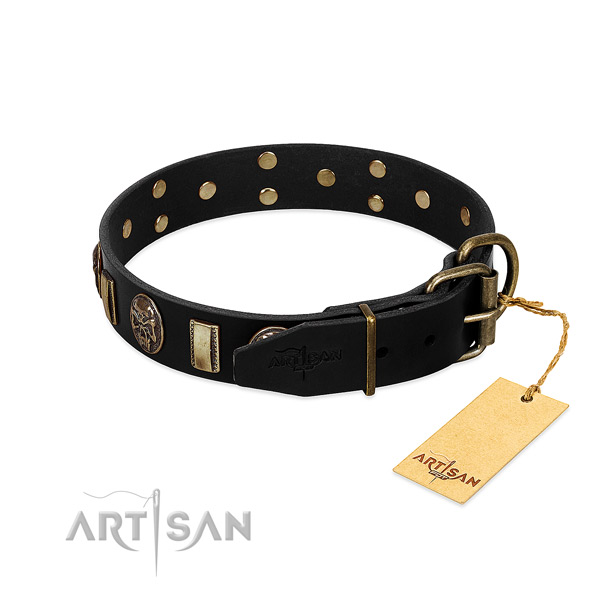 Leather dog collar with corrosion proof D-ring and embellishments
