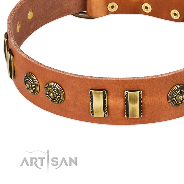 Durable embellishments on leather dog collar for your four-legged friend