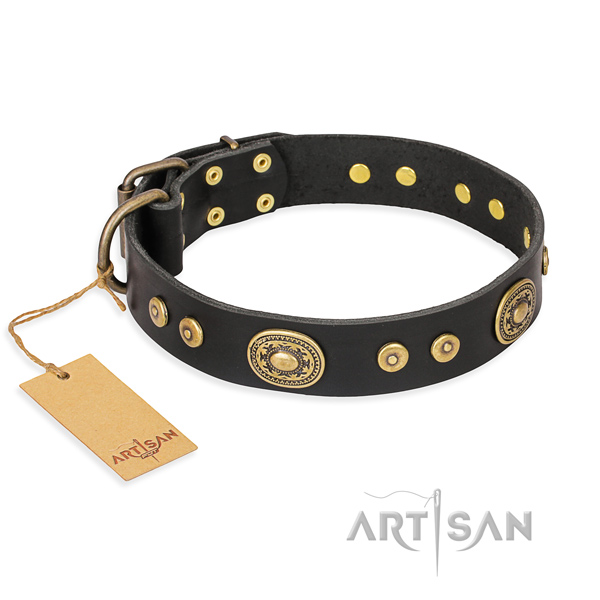 Walking embellished dog collar of high quality full grain genuine leather