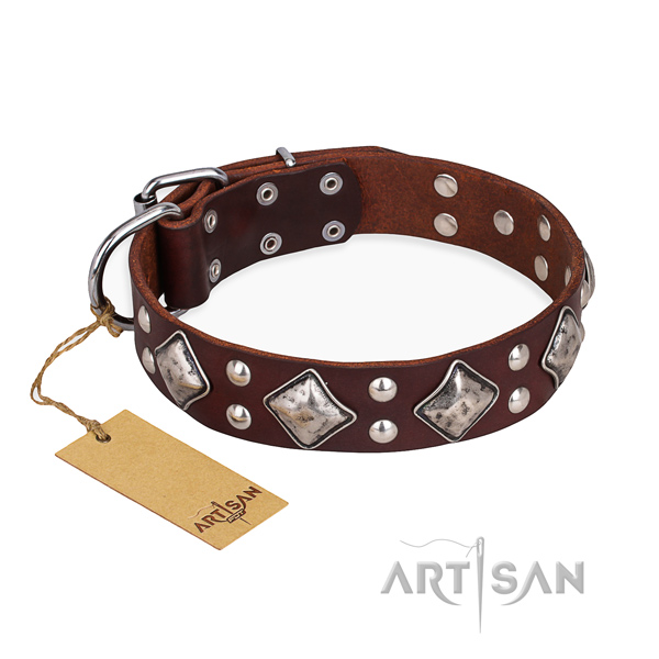 Comfortable wearing embellished dog collar with rust resistant fittings