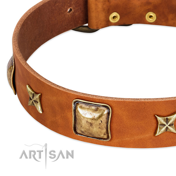 Rust-proof adornments on full grain leather dog collar for your pet