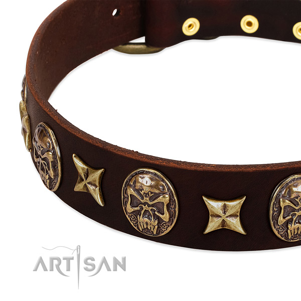 Strong fittings on leather dog collar for your four-legged friend