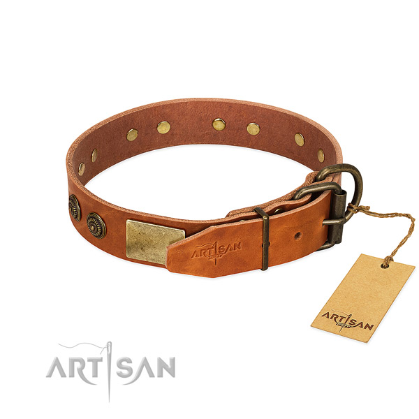 Corrosion proof hardware on full grain natural leather collar for basic training your dog