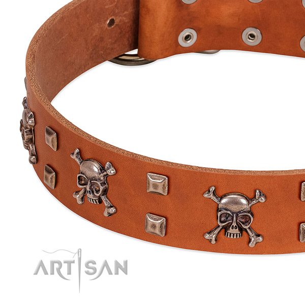 Stunning leather collar for your dog