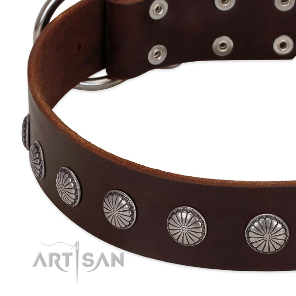 Gentle to touch full grain natural leather dog collar with adornments for everyday use
