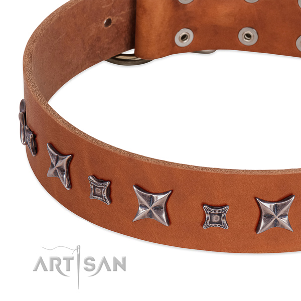 Incredible genuine leather collar for your lovely dog