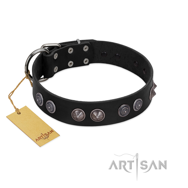 Best quality genuine leather collar with embellishments for your canine
