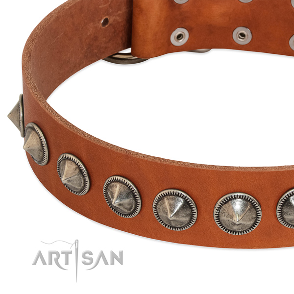 Daily walking embellished genuine leather collar for your four-legged friend