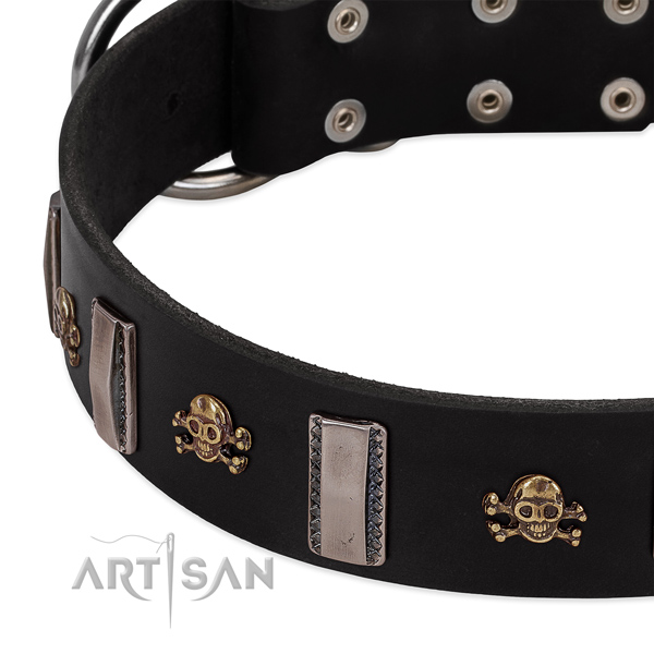 Full grain leather dog collar of reliable material with incredible adornments