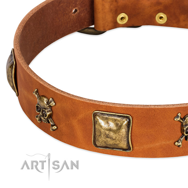 Exquisite full grain natural leather dog collar with corrosion proof studs