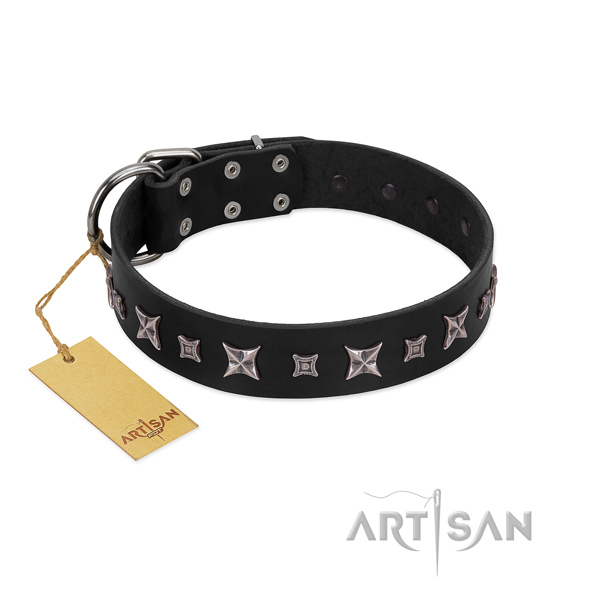 Top notch genuine leather dog collar with awesome decorations