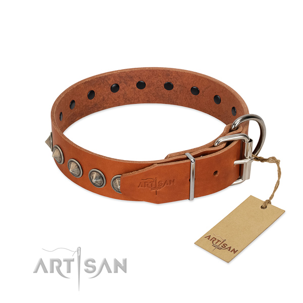 Daily use full grain genuine leather dog collar with awesome decorations