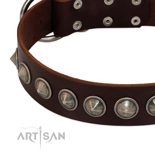 Easy wearing decorated natural leather collar for your four-legged friend