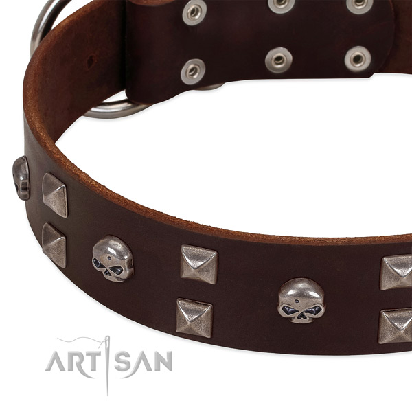 Durable full grain leather dog collar created for your dog