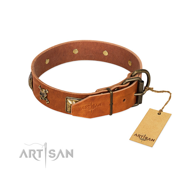 Incredible full grain natural leather dog collar with reliable embellishments