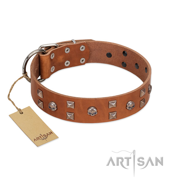 Walking dog collar of leather with exquisite embellishments