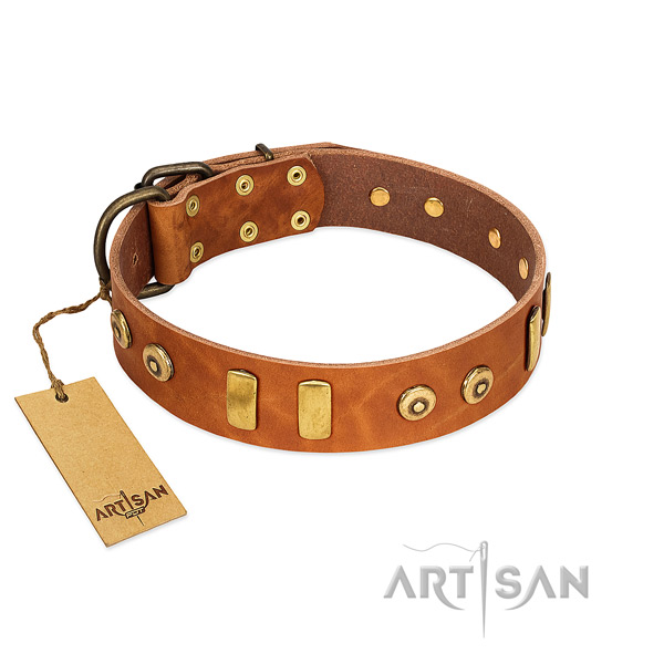 Full grain leather dog collar with unique adornments for comfortable wearing