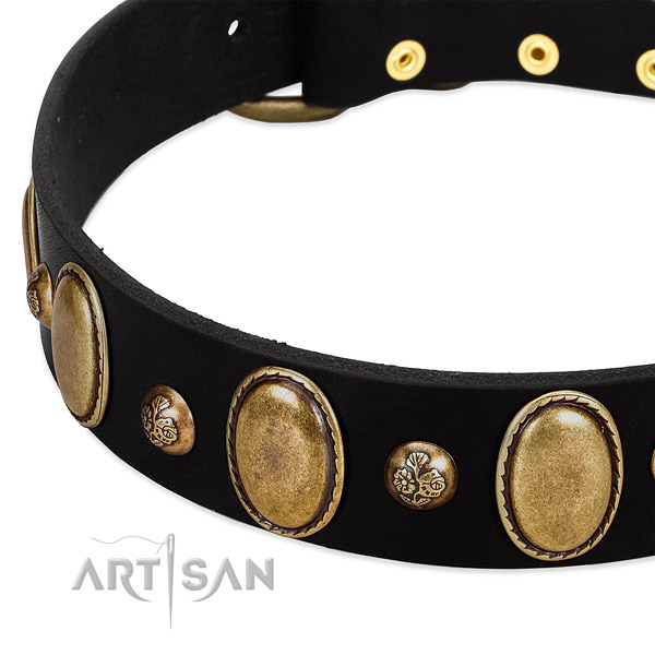 Full grain leather dog collar with significant decorations