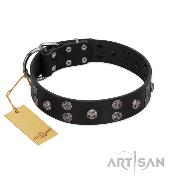 Daily use embellished full grain leather collar for your doggie