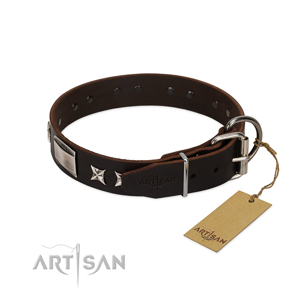 Fashionable collar of leather for your stylish doggie